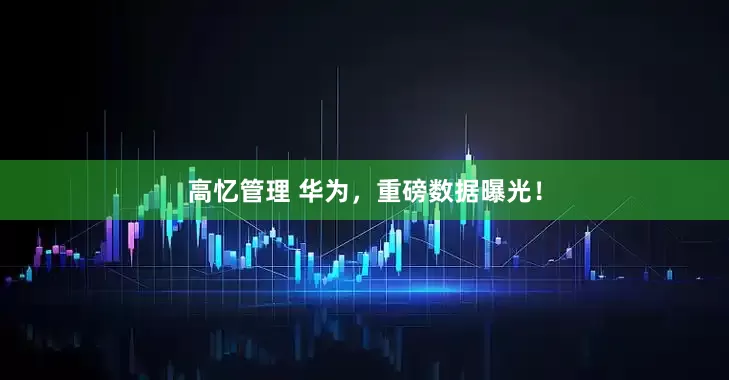 高忆管理 华为，重磅数据曝光！