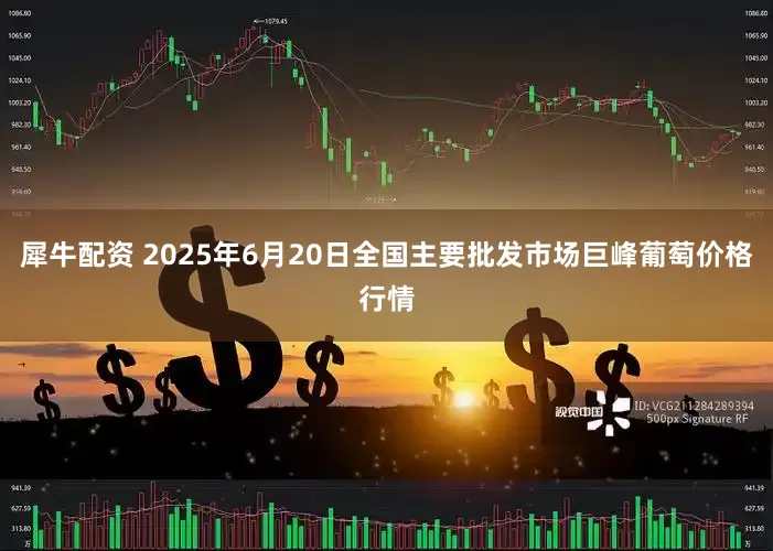 犀牛配资 2025年6月20日全国主要批发市场巨峰葡萄价格行情