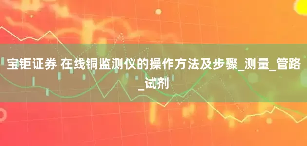 宝钜证券 在线铜监测仪的操作方法及步骤_测量_管路_试剂