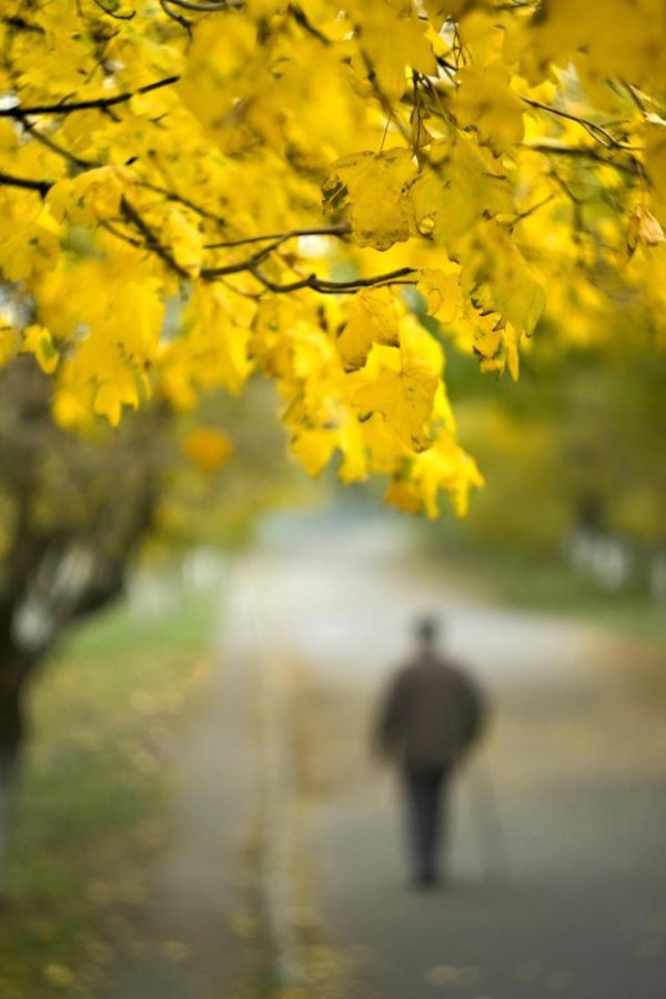 贵丰配资 人间|百岁老娘